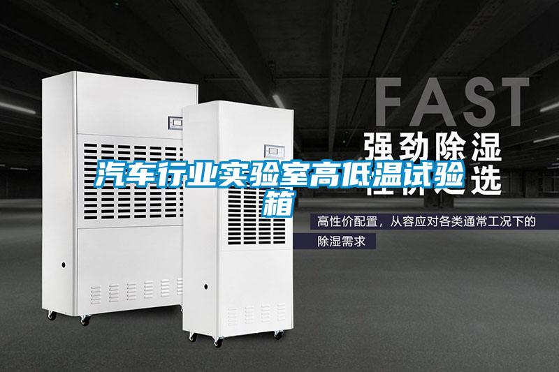 汽車行業(yè)實驗室高低溫試驗箱