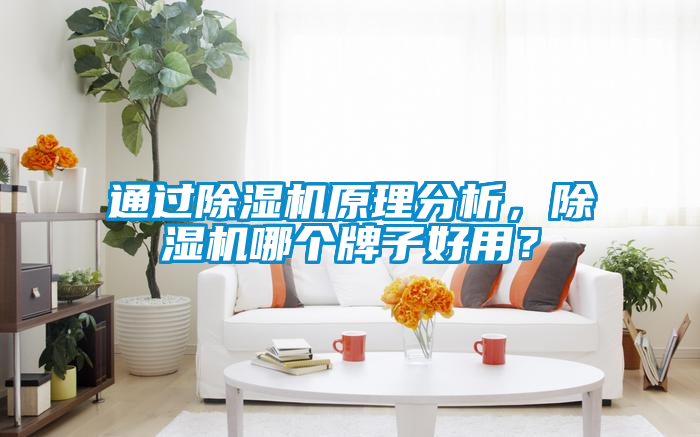 通過除濕機原理分析,除濕機哪個牌子好用?