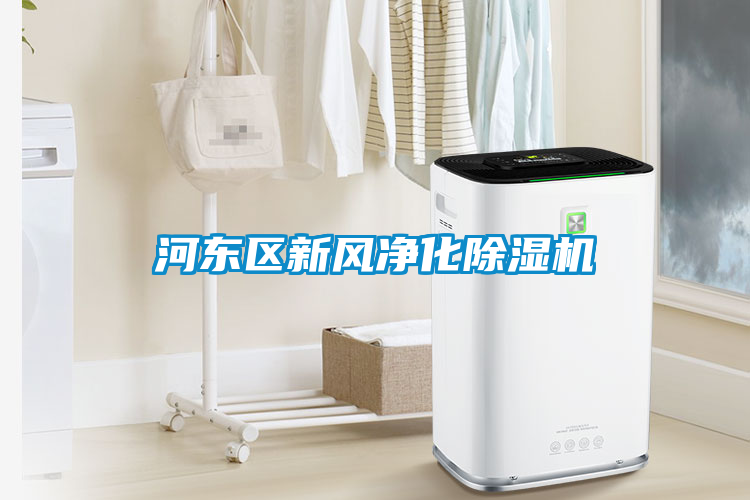 河東區新風凈化除濕機