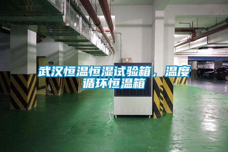 武漢恒溫恒濕試驗(yàn)箱,溫度循環(huán)恒溫箱