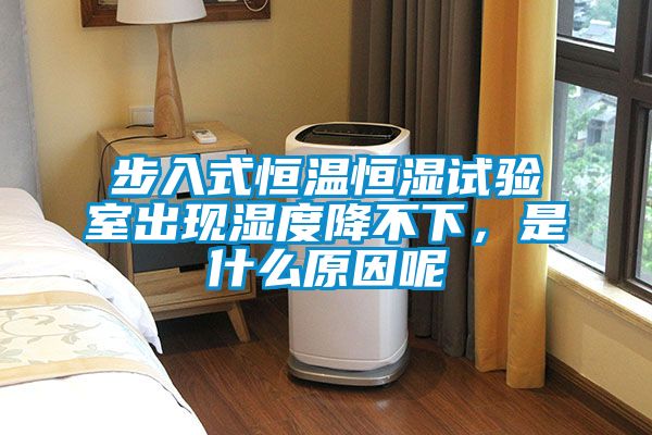 步入式恒溫恒濕試驗室出現濕度降不下，是什么原因呢