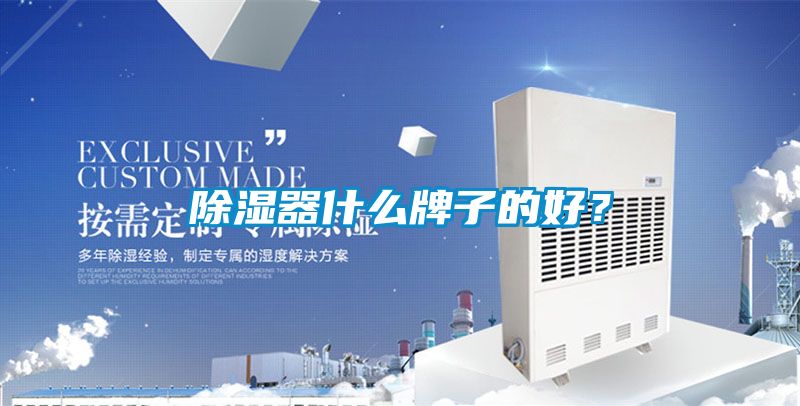 除濕器什么牌子的好？