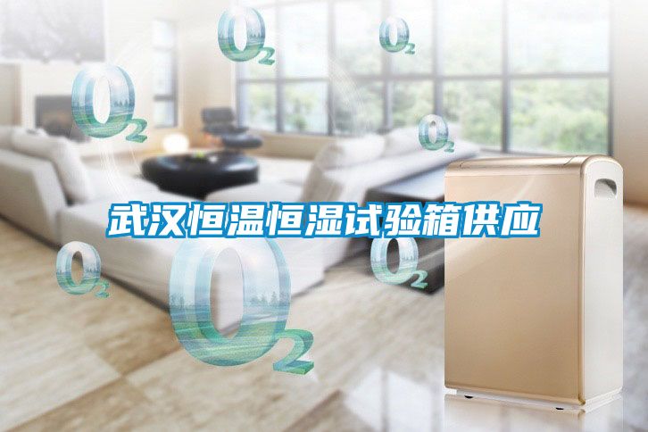 武漢恒溫恒濕試驗箱供應(yīng)