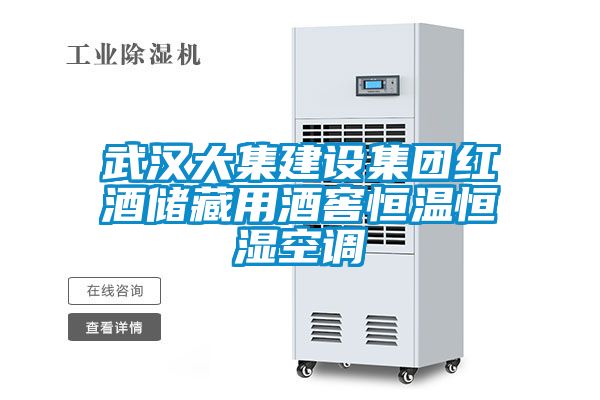武漢大集建設(shè)集團紅酒儲藏用酒窖恒溫恒濕空調(diào)