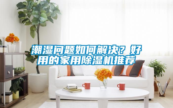 潮濕問題如何解決？好用的家用除濕機推薦
