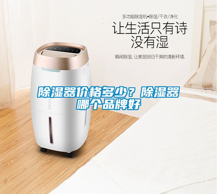 除濕器價(jià)格多少?除濕器哪個(gè)品牌好