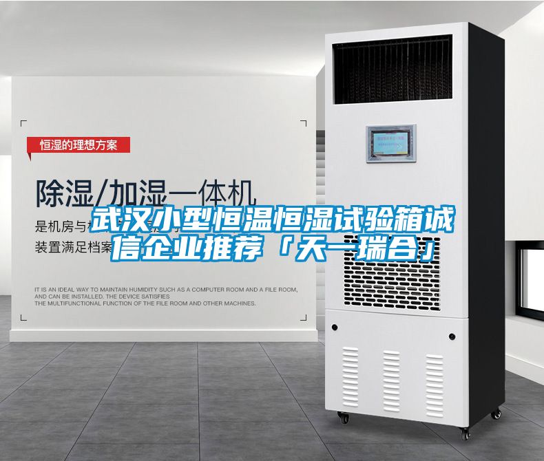武漢小型恒溫恒濕試驗(yàn)箱誠信企業(yè)推薦「天一瑞合」