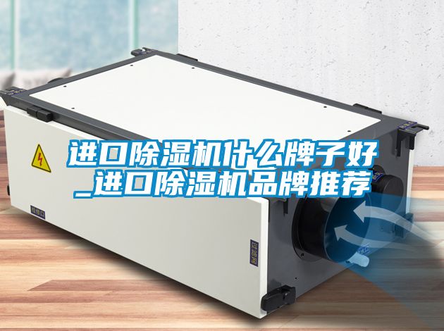 進口除濕機什么牌子好_進口除濕機品牌推薦