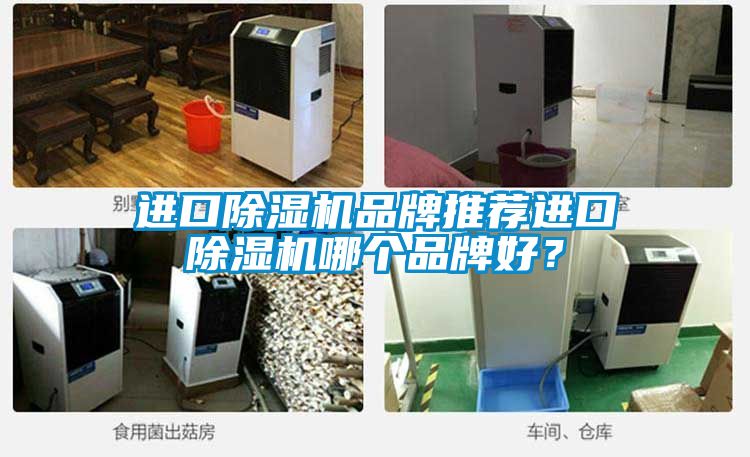 進口除濕機品牌推薦進口除濕機哪個品牌好?