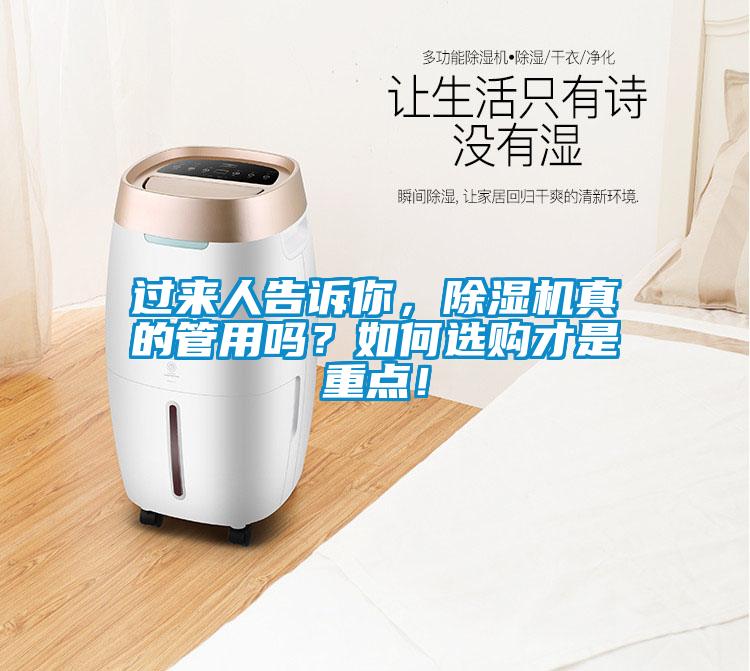 過來人告訴你,除濕機真的管用嗎?如何選購才是重點!