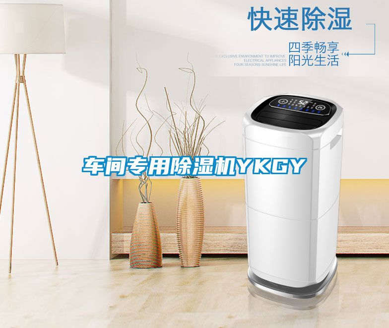 車間專用除濕機YKGY