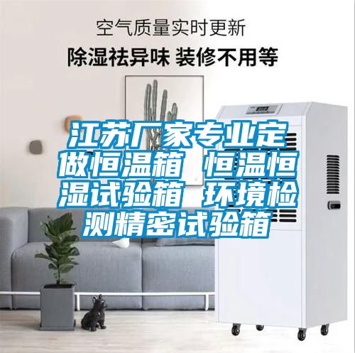 江蘇廠(chǎng)家專(zhuān)業(yè)定做恒溫箱 恒溫恒濕試驗(yàn)箱 環(huán)境檢測(cè)精密試驗(yàn)箱