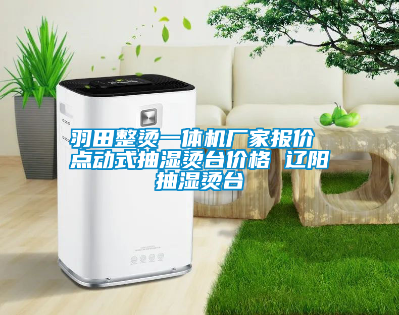 羽田整燙一體機(jī)廠家報(bào)價(jià) 點(diǎn)動式抽濕燙臺價(jià)格 遼陽抽濕燙臺
