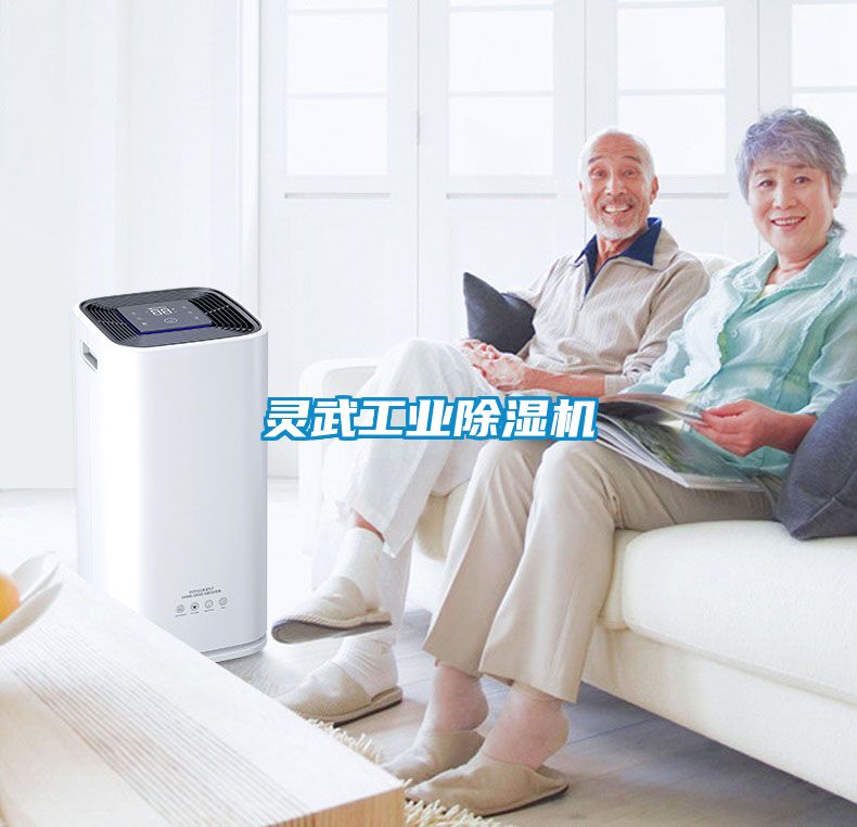 靈武工業(yè)除濕機(jī)