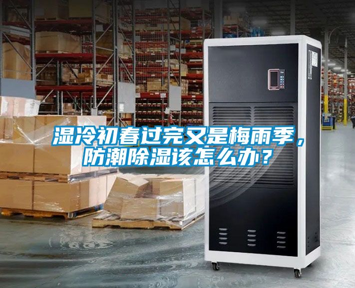濕冷初春過完又是梅雨季，防潮除濕該怎么辦？