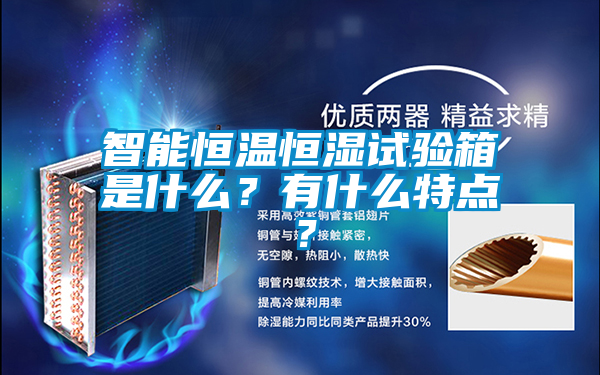 智能恒溫恒濕試驗(yàn)箱是什么?有什么特點(diǎn)?