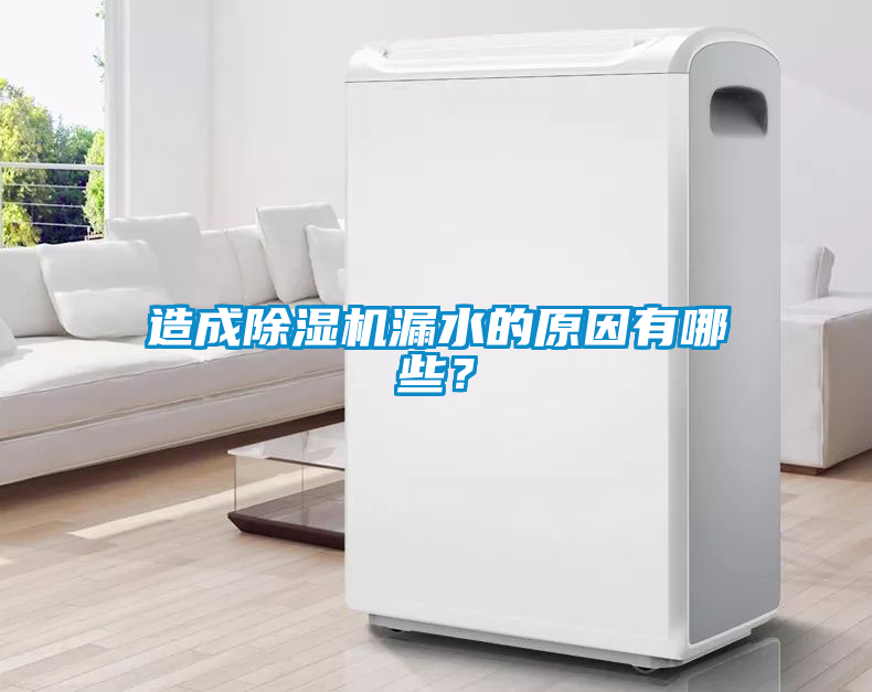 造成除濕機漏水的原因有哪些?