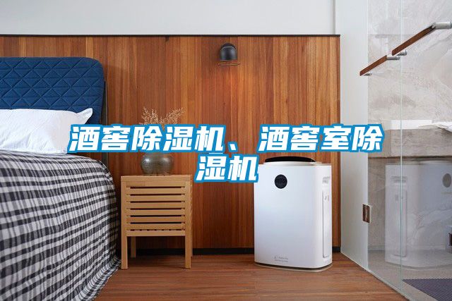 酒窖除濕機、酒窖室除濕機
