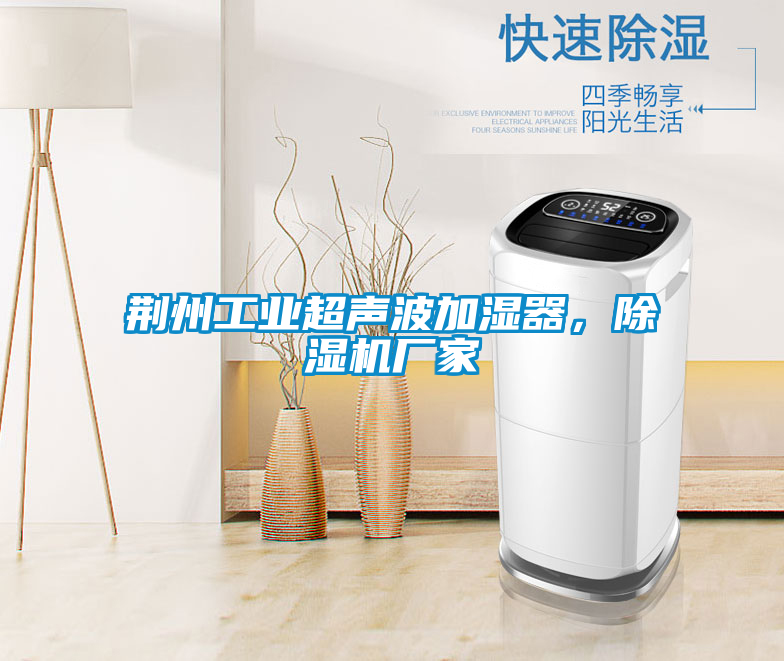 荊州工業(yè)超聲波加濕器，除濕機廠家