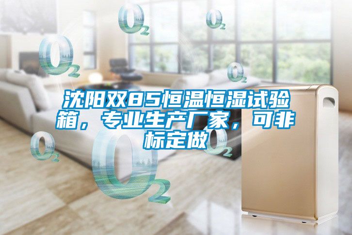 沈陽雙85恒溫恒濕試驗箱,專業生產廠家,可非標定做