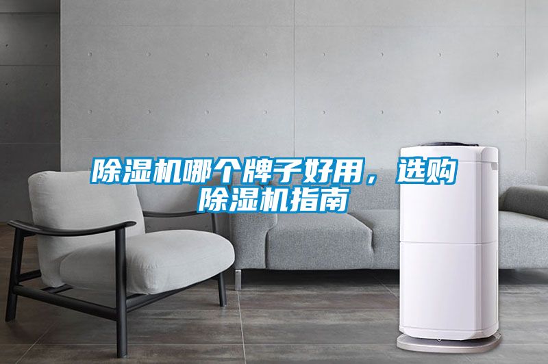 除濕機哪個牌子好用，選購除濕機指南