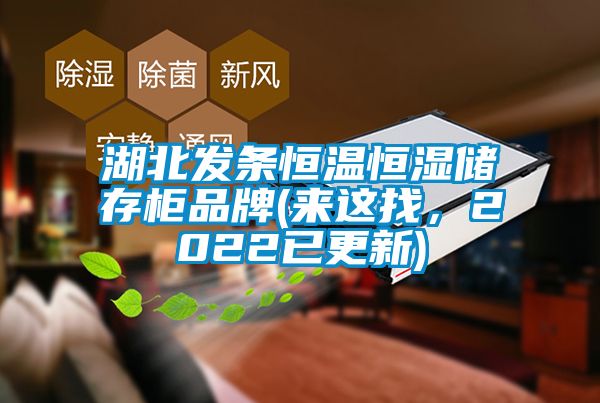 湖北發(fā)條恒溫恒濕儲存柜品牌(來這找,2022已更新)