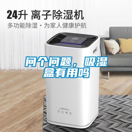 問個問題，吸濕盒有用嗎