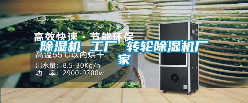 除濕機 工廠 轉(zhuǎn)輪除濕機廠家