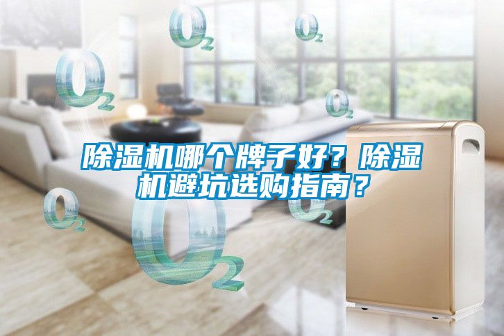 除濕機哪個牌子好？除濕機避坑選購指南？