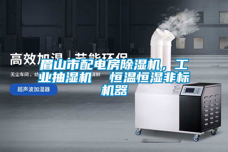 眉山市配電房除濕機，工業抽濕機  恒溫恒濕非標機器