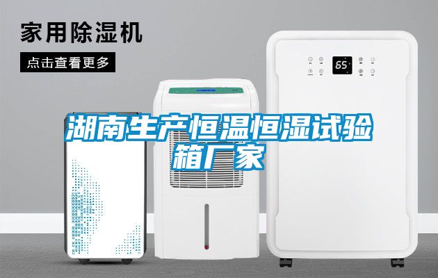 湖南生產(chǎn)恒溫恒濕試驗(yàn)箱廠家