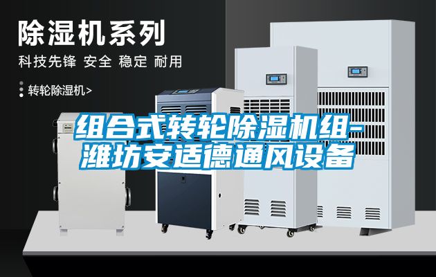 組合式轉輪除濕機組-濰坊安適德通風設備