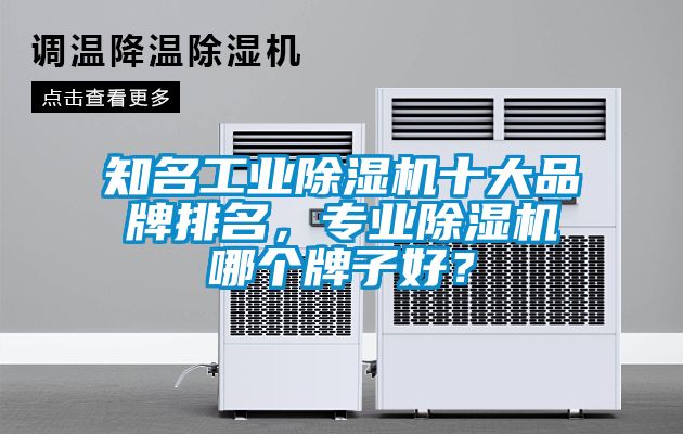 知名工業除濕機十大品牌排名，專業除濕機哪個牌子好？