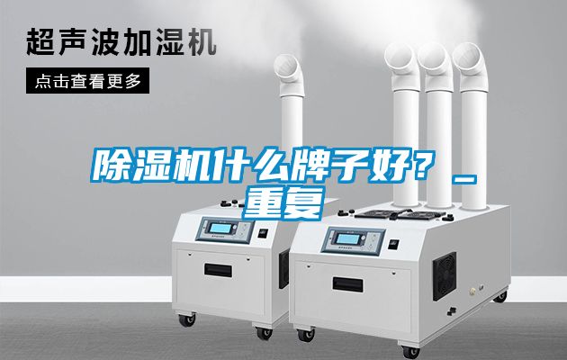 除濕機什么牌子好？_重復