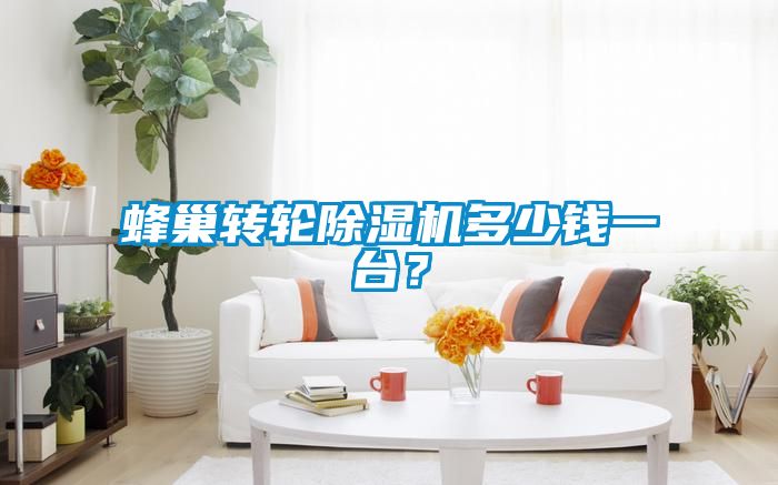 蜂巢轉(zhuǎn)輪除濕機(jī)多少錢(qián)一臺(tái)？