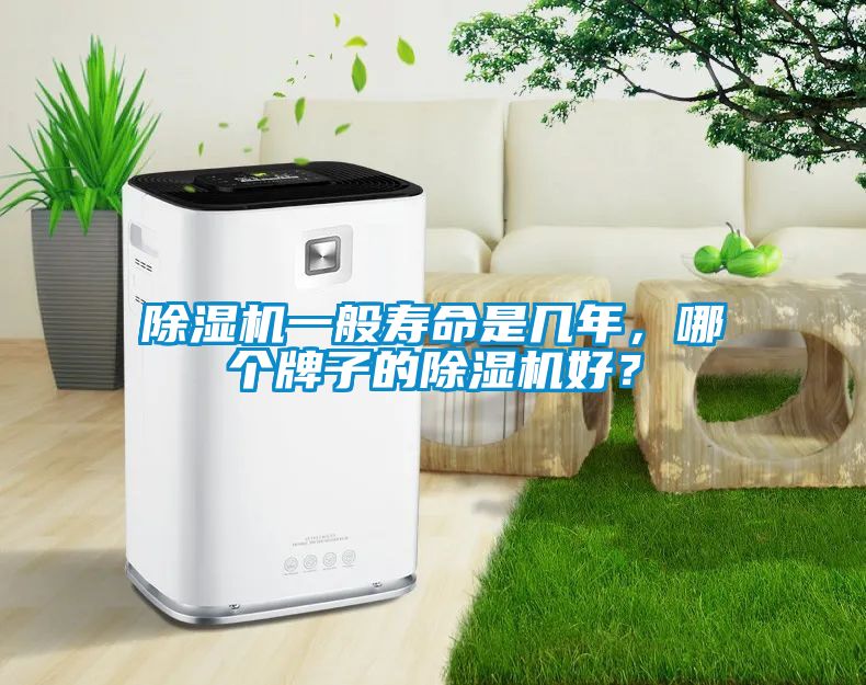 除濕機一般壽命是幾年,哪個牌子的除濕機好?