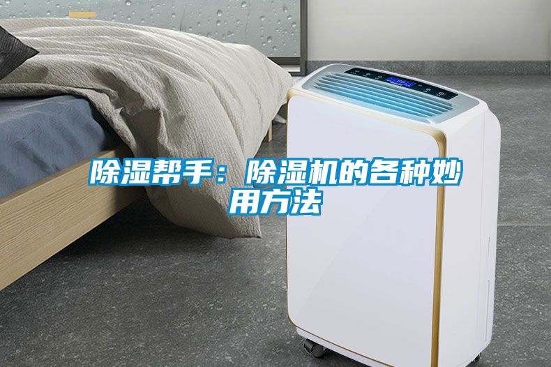 除濕幫手:除濕機的各種妙用方法