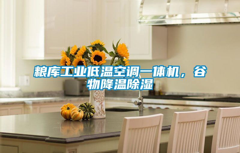 糧庫工業低溫空調一體機,谷物降溫除濕