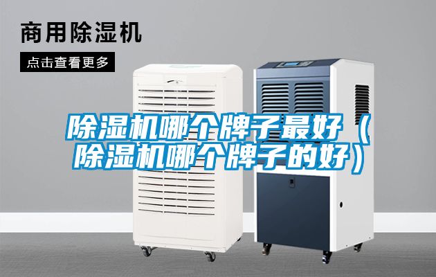 除濕機(jī)哪個(gè)牌子最好(除濕機(jī)哪個(gè)牌子的好)