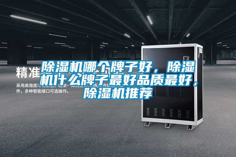 除濕機(jī)哪個(gè)牌子好，除濕機(jī)什么牌子最好品質(zhì)最好，除濕機(jī)推薦
