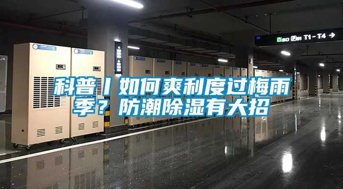 科普丨如何爽利度過梅雨季?防潮除濕有大招