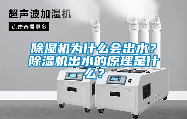 除濕機為什么會出水？除濕機出水的原理是什么？