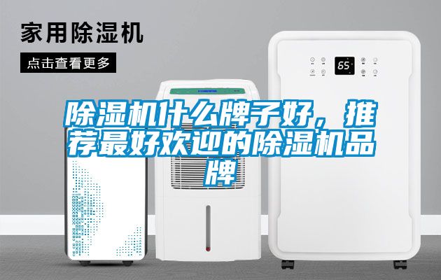 除濕機什么牌子好，推薦最好歡迎的除濕機品牌