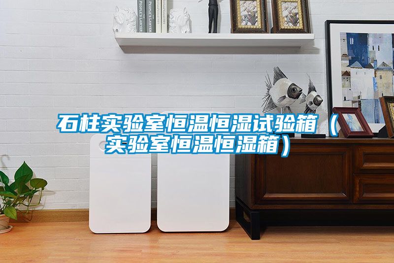 石柱實驗室恒溫恒濕試驗箱(實驗室恒溫恒濕箱)