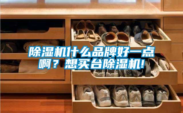 除濕機(jī)什么品牌好一點(diǎn)?。肯胭I臺除濕機(jī)!