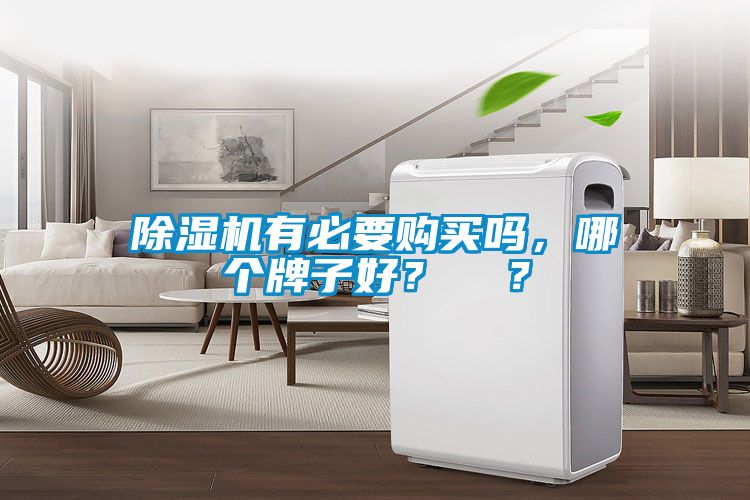 除濕機(jī)有必要購(gòu)買嗎，哪個(gè)牌子好？  ？
