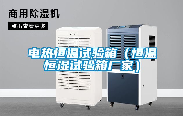 電熱恒溫試驗箱(恒溫恒濕試驗箱廠家)