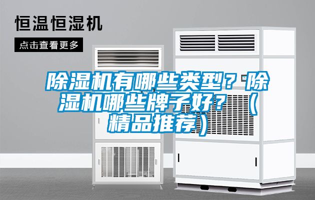 除濕機有哪些類型？除濕機哪些牌子好？（精品推薦）