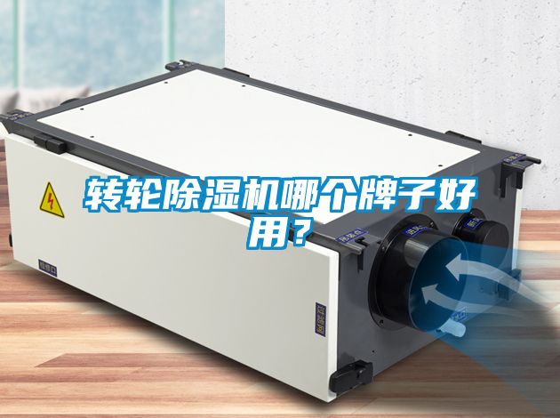 轉(zhuǎn)輪除濕機(jī)哪個牌子好用？