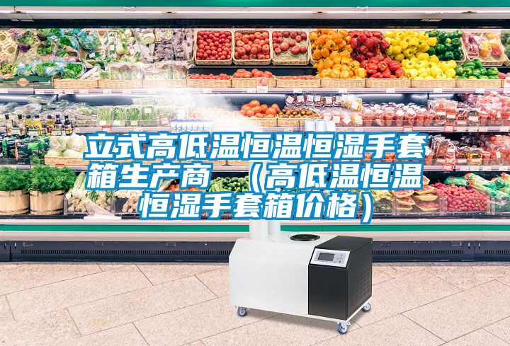 立式高低溫恒溫恒濕手套箱生產(chǎn)商 （高低溫恒溫恒濕手套箱價(jià)格）